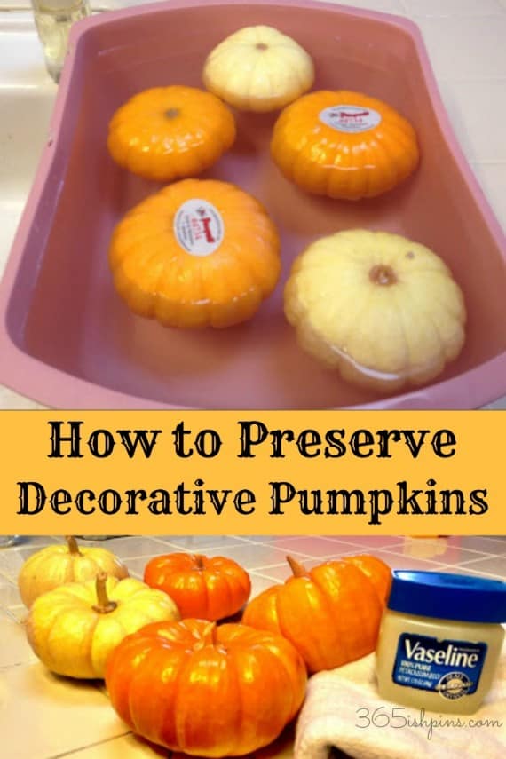 preserve pumpkins
