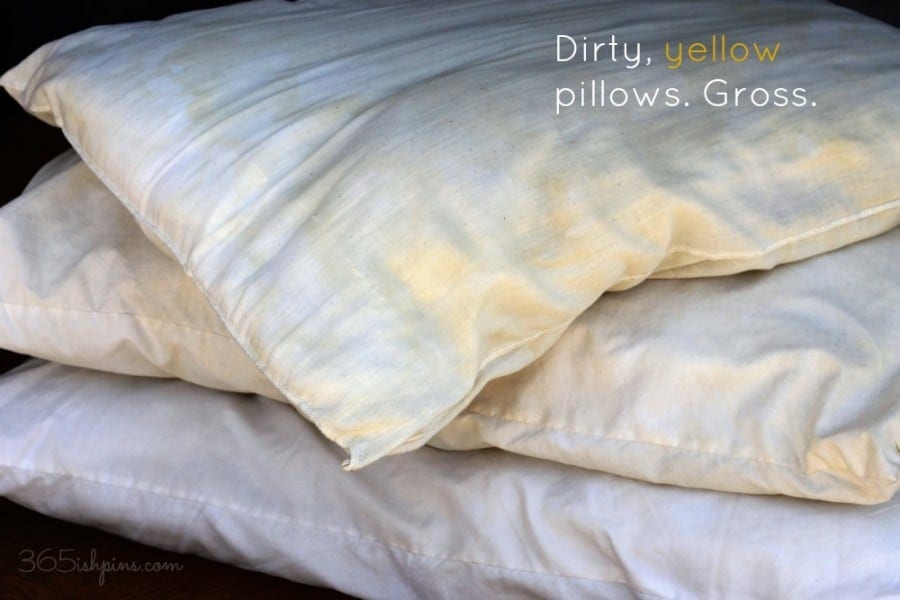 wash pillows