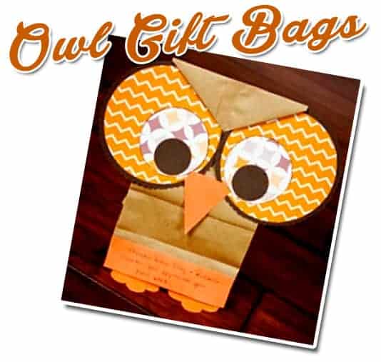 owl gift bags