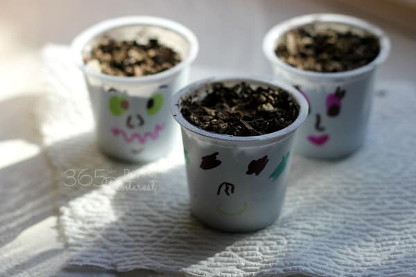 seed cups