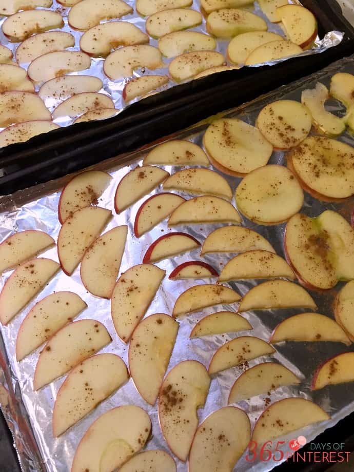 raw apple slices