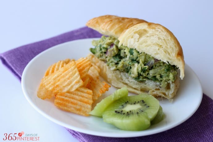 avocado chicken salad sandwich