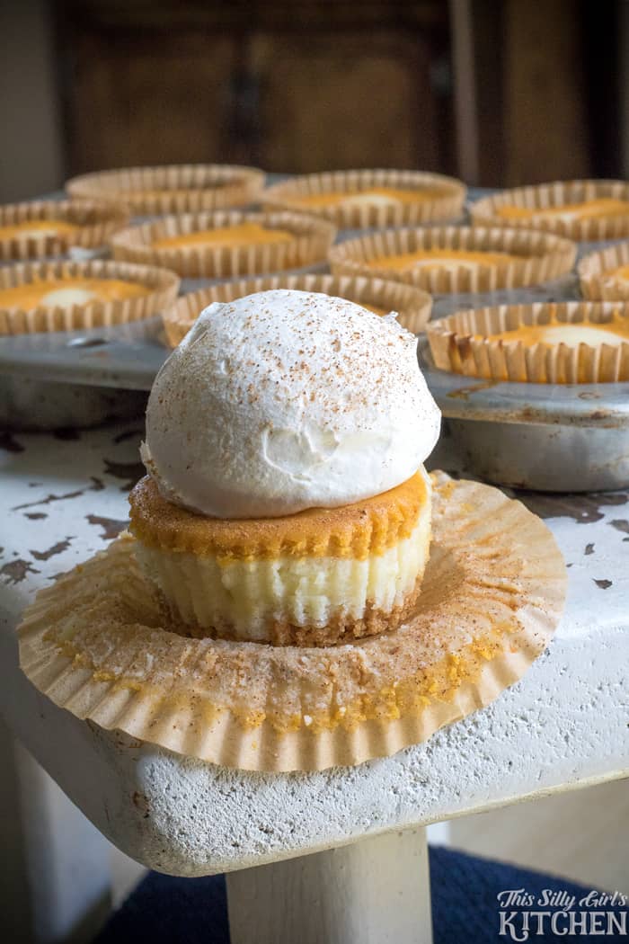 pumpkin-cheesecake-cupcakes-from-this-silly-girls-kitchen6